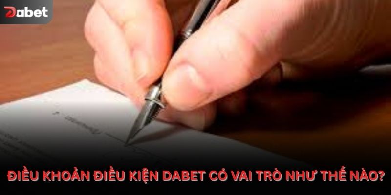 Điều khoản điều kiện Dabet có vai trò đối với người chơi?
